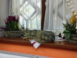 Gok Oguz, restaurantul cu bucatarie gagauza si bulgara in Chisinau
