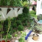 Amvrosia - restaurant grecesc in Bucuresti