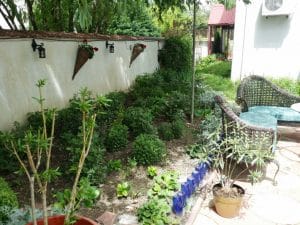 Amvrosia - restaurant grecesc in Bucuresti