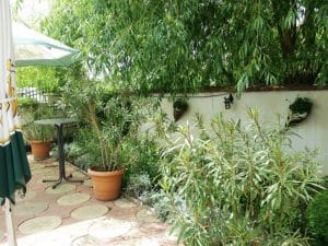 Amvrosia - restaurant grecesc in Bucuresti