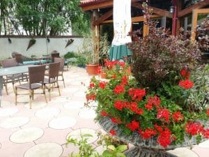 Amvrosia - restaurant grecesc in Bucuresti