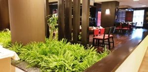 Avalon, restaurantul cu bucatarie internationala al hotelului Sheraton din Bucuresti