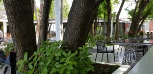 Casa di David, restaurant international cu bucatarie fina in Parcul Herastrau din Bucuresti