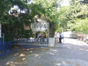 Restaurant pescaresc in Parcul Herastrau