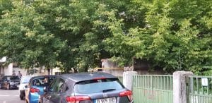 Die Deutsche Kneipe, mic si vechi restaurant german in Bucuresti