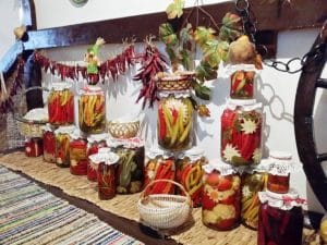 Doi Cocosi - camara