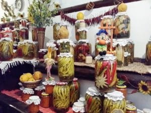 Doi Cocosi - camara