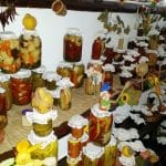 Doi Cocosi - camara