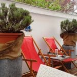 Exile, restaurantul lui Romica Oprea si al prietenilor lui de la Piata Dorobantilor