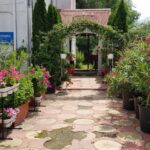 Gradina restaurantului grecesc Amvrosia din Pipera 02