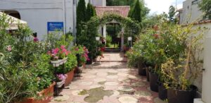 Gradina restaurantului grecesc Amvrosia din Pipera 02