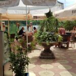 Gradina restaurantului grecesc Amvrosia din Pipera 05