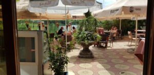 Gradina restaurantului grecesc Amvrosia din Pipera 05