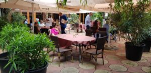 Gradina restaurantului grecesc Amvrosia din Pipera 09