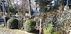 Isoletta, restaurant cu bucatarie traditionala italiana augmentata in Parcul Herastrau