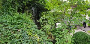 Isoletta, restaurant italian de peste si fructe de mare in Parcul Herastrau