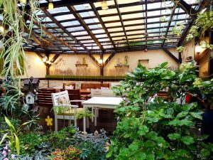 Journey Pub, local in centrul Bucurestiului (Piata Romana), cu terasa plina de vegetatie