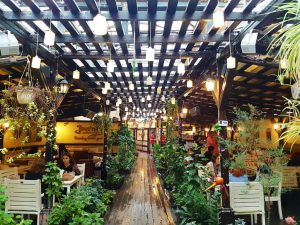 Journey Pub, local in centrul Bucurestiului (Piata Romana), cu terasa plina de vegetatie