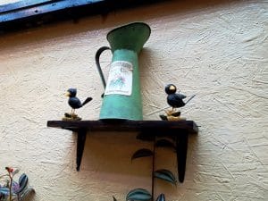 Journey Pub, local in centrul Bucurestiului (Piata Romana), cu terasa plina de vegetatie