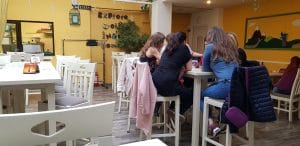 Journey Pub, restaurant si terasa cu specific ludic