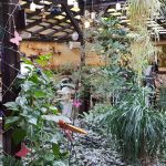 Journey Pub, restaurant si terasa cu specific ludic