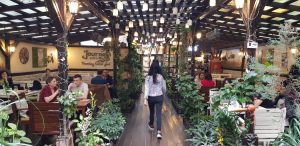 Journey Pub, restaurant si terasa cu specific ludic