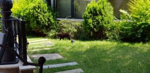 L'Atelier, restaurant Haute Cuisine la Hotel Epoque, chef Samuel Le Torriellec