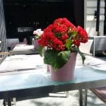La Brasserie Bistro & Lounge in Parcul Herastrau