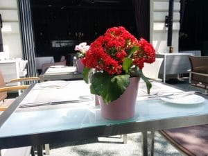 La Brasserie Bistro & Lounge in Parcul Herastrau
