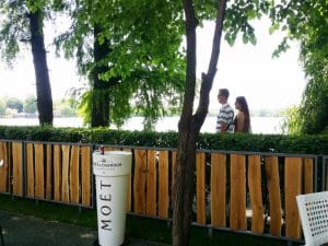 La Brasserie Bistro & Lounge in Parcul Herastrau
