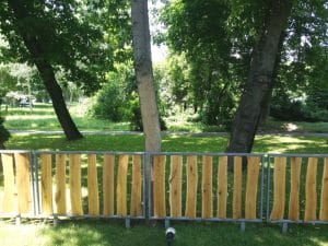 La Brasserie Bistro & Lounge in Parcul Herastrau