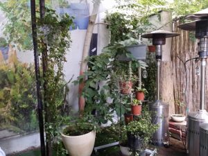 La Finca by Alioli, restaurant cu specific spaniol in Bucuresti