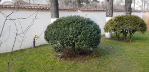 Mesogios Seafood, restaurant cu peste si fructe de mare in cartierul Primaverii