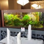 Nan Jing, restaurant chinezesc la Hotelul Minerva