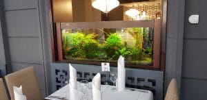 Nan Jing, restaurant chinezesc la Hotelul Minerva