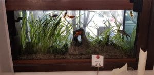 Nan Jing, restaurant chinezesc la Hotelul Minerva