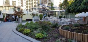 Prime si Sharkia, terasele de vara din curtea interioara a hotelului Radisson