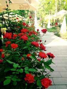 Restaurantul Casa Doina - Bucuresti