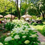 Restaurantul Casa Doina - Bucuresti