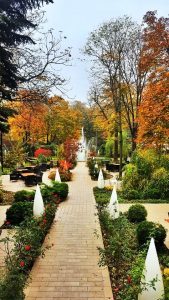 Casa Doina - Cele mai frumoase restaurante