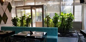 Seva, restaurant la Lakeview Businesscenter pe Barbu Vacarescu