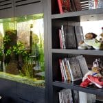 Stejarii Pool Club, restaurant gourmet in Stejarii Country Club