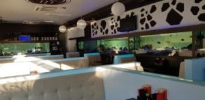 Sushi Terra Dorobanti, restaurant japonez