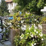 Zahanaua Zexe Aviatorilor, restaurant cu mancare romaneasca boiereasca