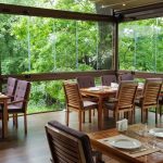 Zaitoone, restaurant libanez in Parcul Bordei