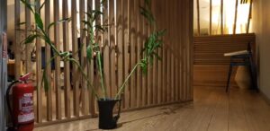 ZenSushi Dorobani restaurant cu bucatarie japoneza