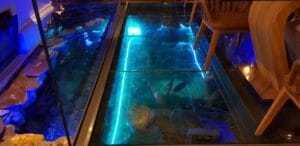 ZenSushi Dorobani restaurant cu bucatarie japoneza