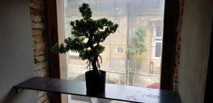 ZenSushi Sarroglia, restaurant japonez popular in Bucuresti