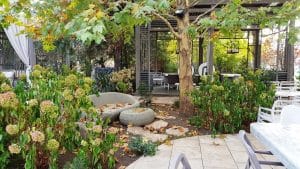 Aqua, restaurant cu bucatarie internationala pe malul lacului Herastrau