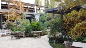 Aqua, restaurant cu bucatarie internationala pe malul lacului Herastrau